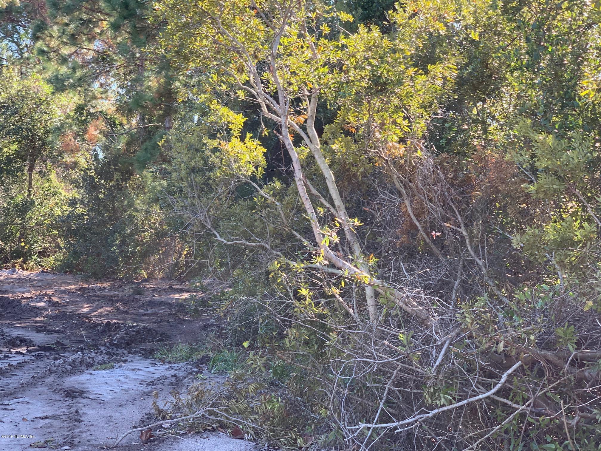 10451 Sawpit Road Jacksonville, FL 32226 - Photo 26 of 37 a backyard of a house with lots of green space