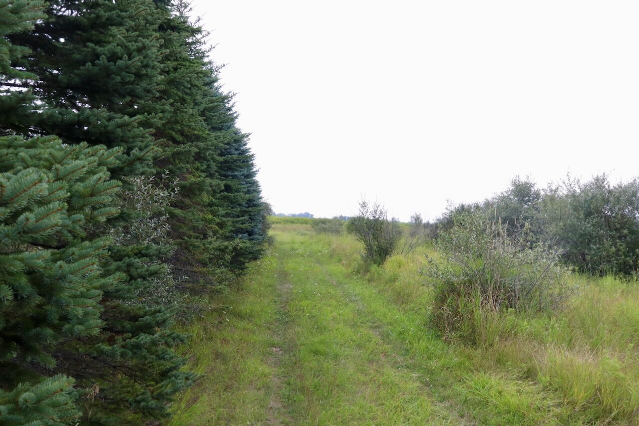 0 South Santiago Road Turner, MI 48765 - Photo 25 of 41 Gallery Image 25
