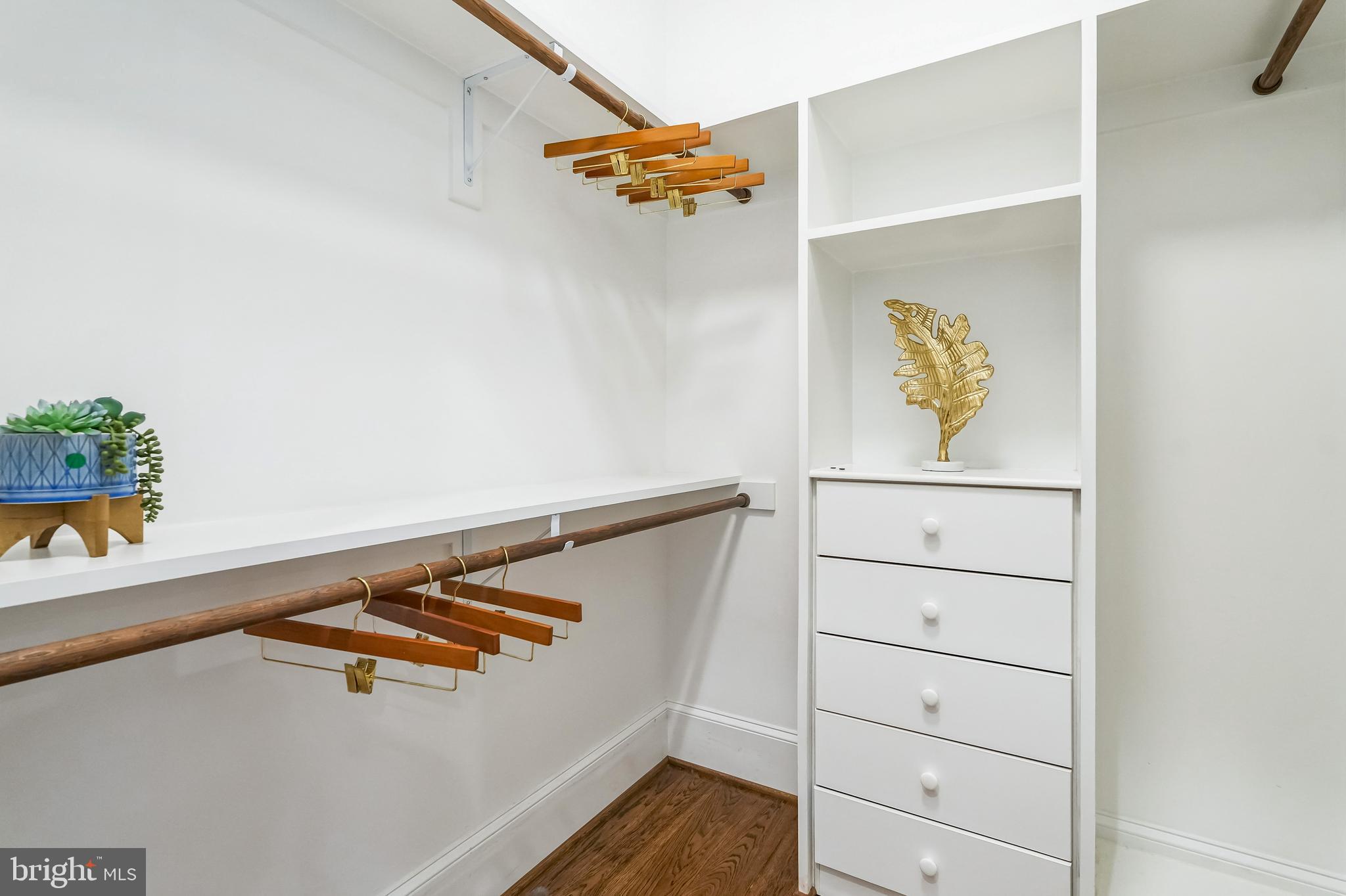 305 Old Courthouse Road Northeast Vienna, VA 22180 - Photo 30 of 69 Walk-in closet