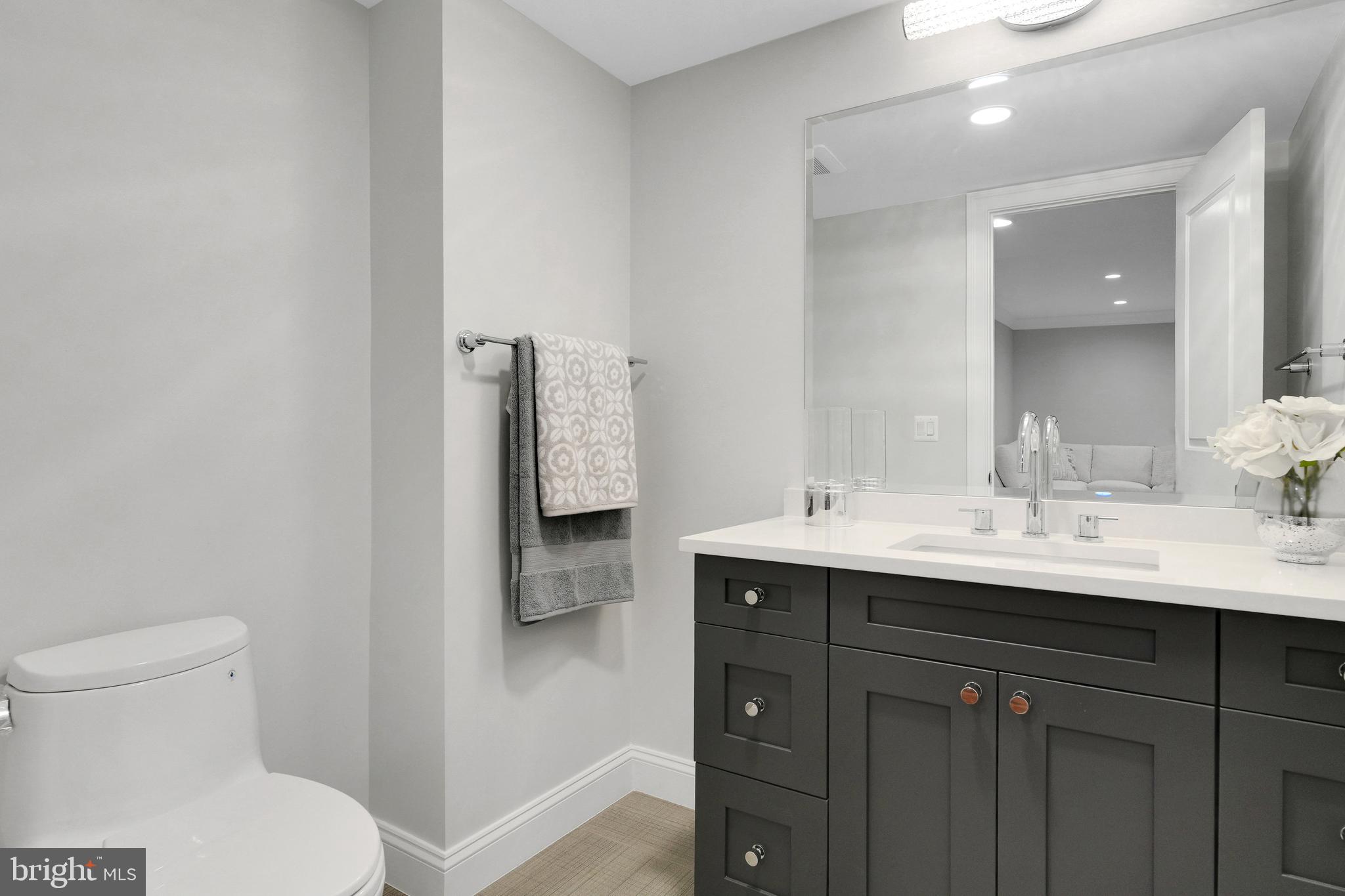 305 Old Courthouse Road Northeast Vienna, VA 22180 - Photo 56 of 69 a bathroom with a sink a toilet and mirror