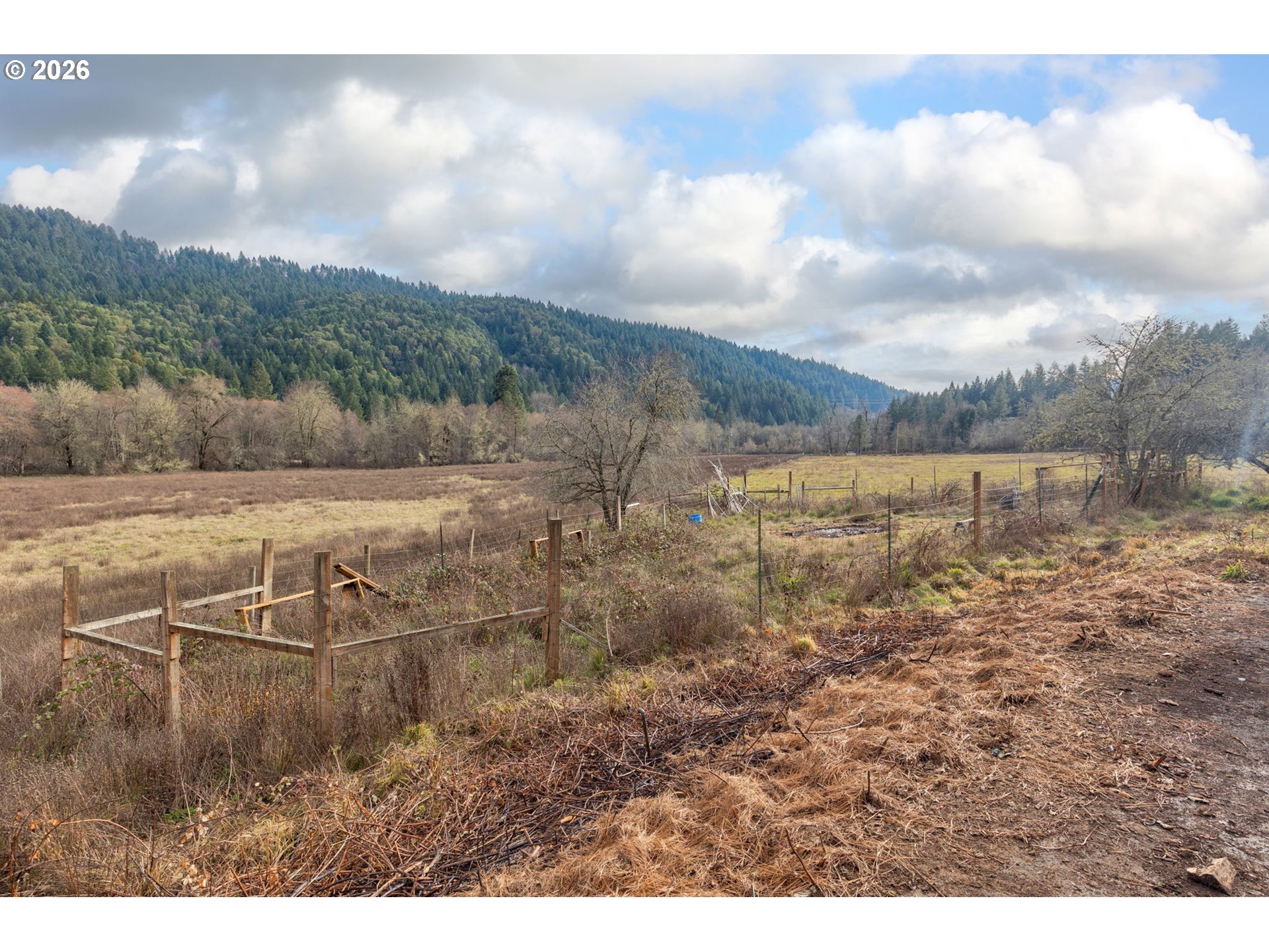 377 Fir Point Lane Glendale, OR 97442 - Photo 41 of 45
