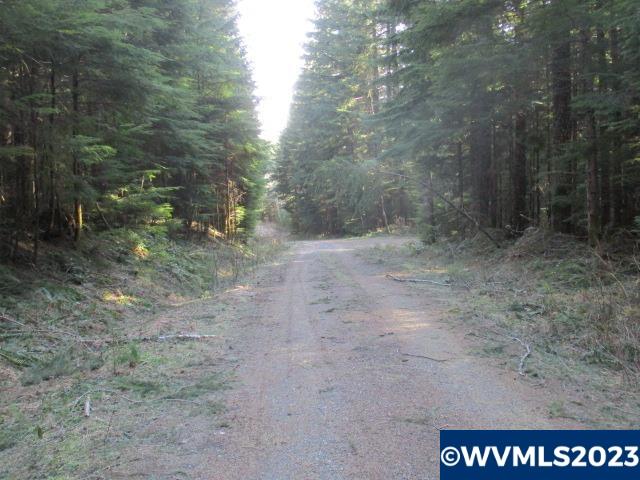0 Southeast Harvey Road Sandy, OR 97055 - Photo 3 of 11