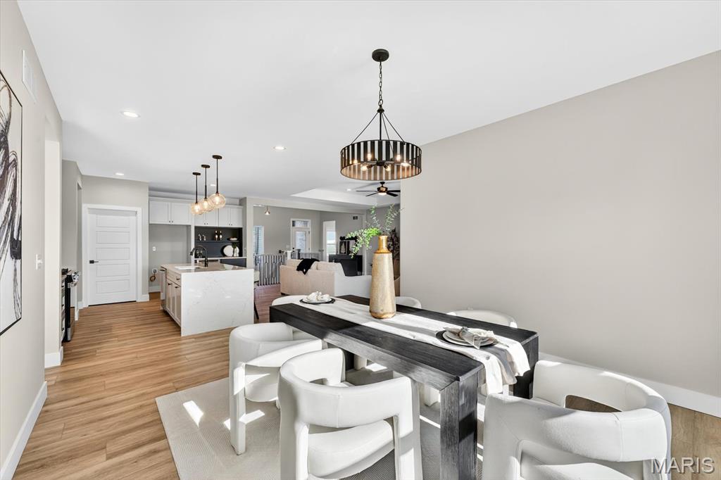 805 Golden Bell Lane O'Fallon, IL 62269 - Photo 15 of 51