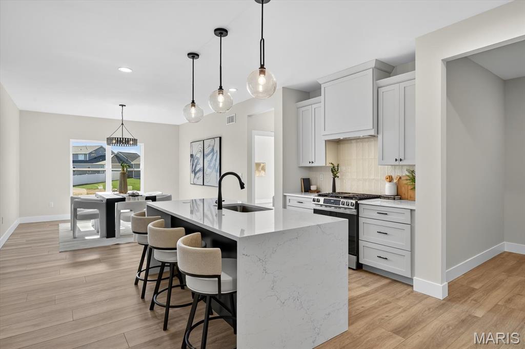 805 Golden Bell Lane O'Fallon, IL 62269 - Photo 19 of 51