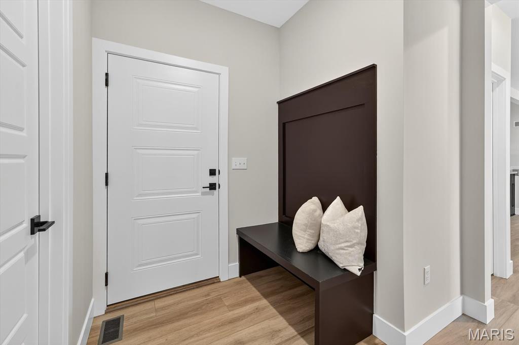 805 Golden Bell Lane O'Fallon, IL 62269 - Photo 21 of 51