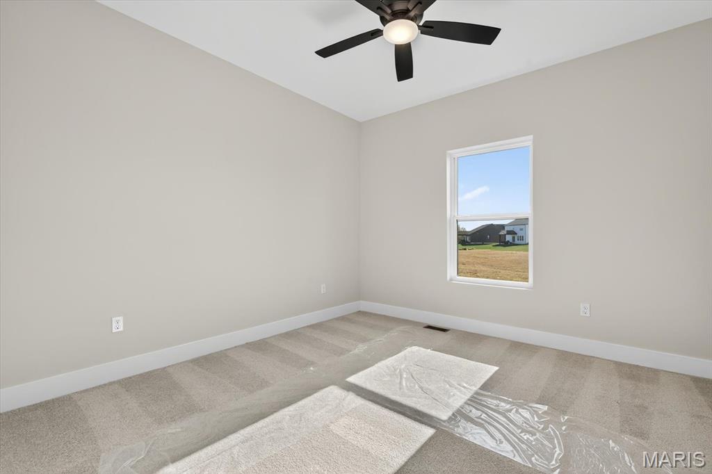 805 Golden Bell Lane O'Fallon, IL 62269 - Photo 27 of 51