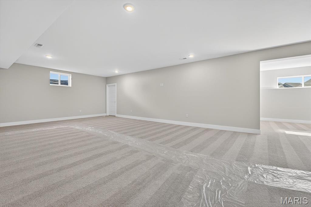 805 Golden Bell Lane O'Fallon, IL 62269 - Photo 36 of 51