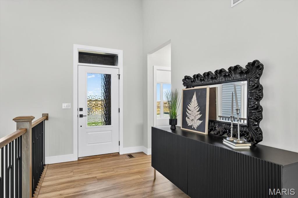 805 Golden Bell Lane O'Fallon, IL 62269 - Photo 8 of 51