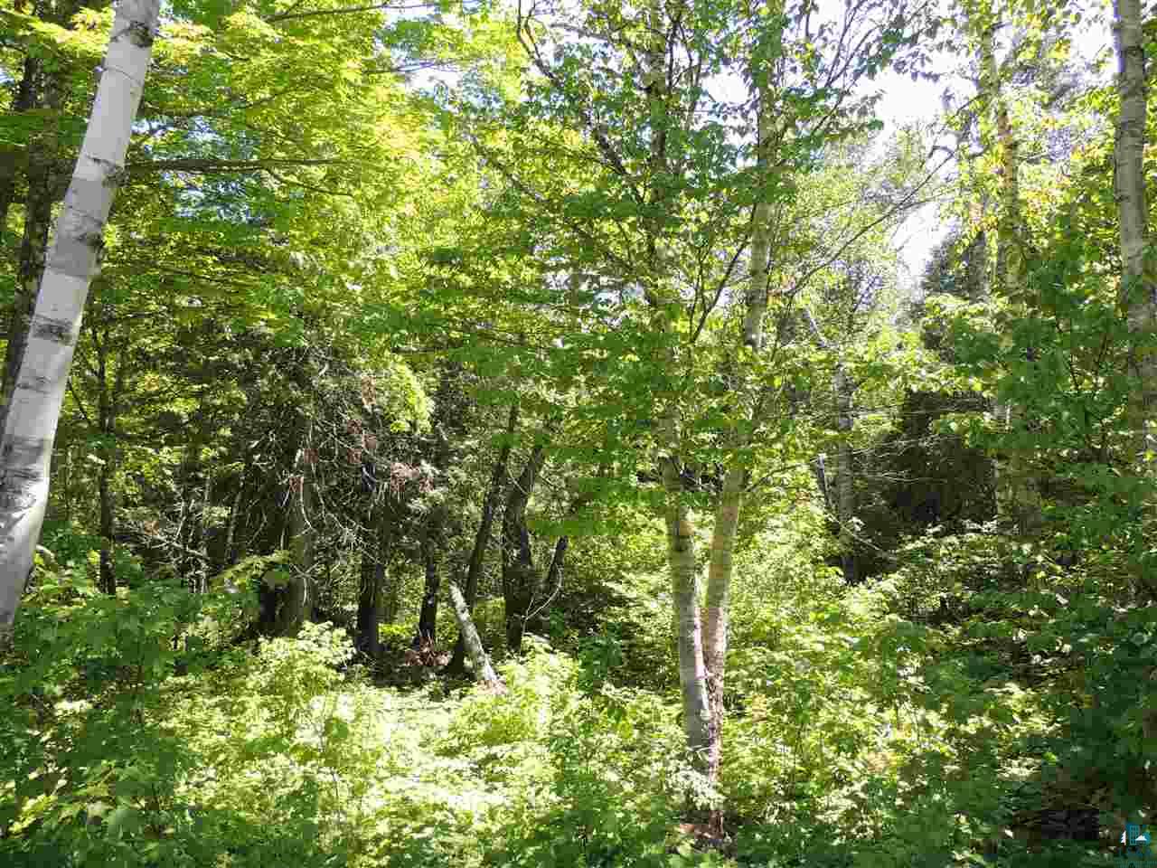 X30 Isak Ridge Lutsen, MN 55612 - Photo 14 of 28