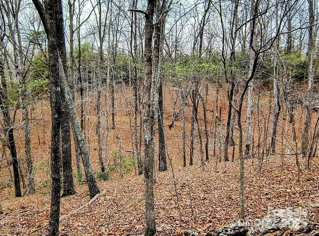 a view of a backyard of the house