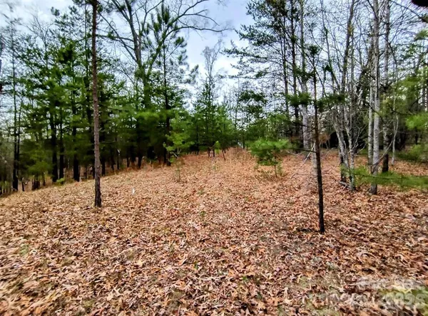 a view of a backyard of the house