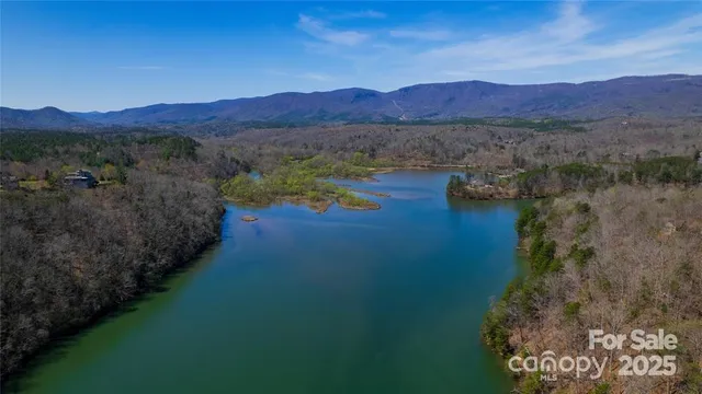 a view of a lake in middle of forest