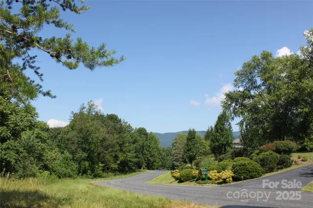 a view of a flower in a garden