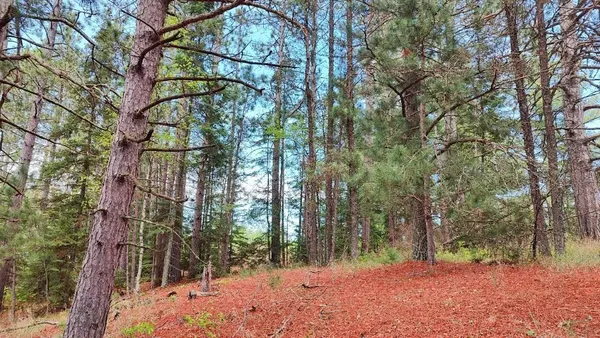 $135,500 | 80064 Osprey Pass, Tower, MN 55790