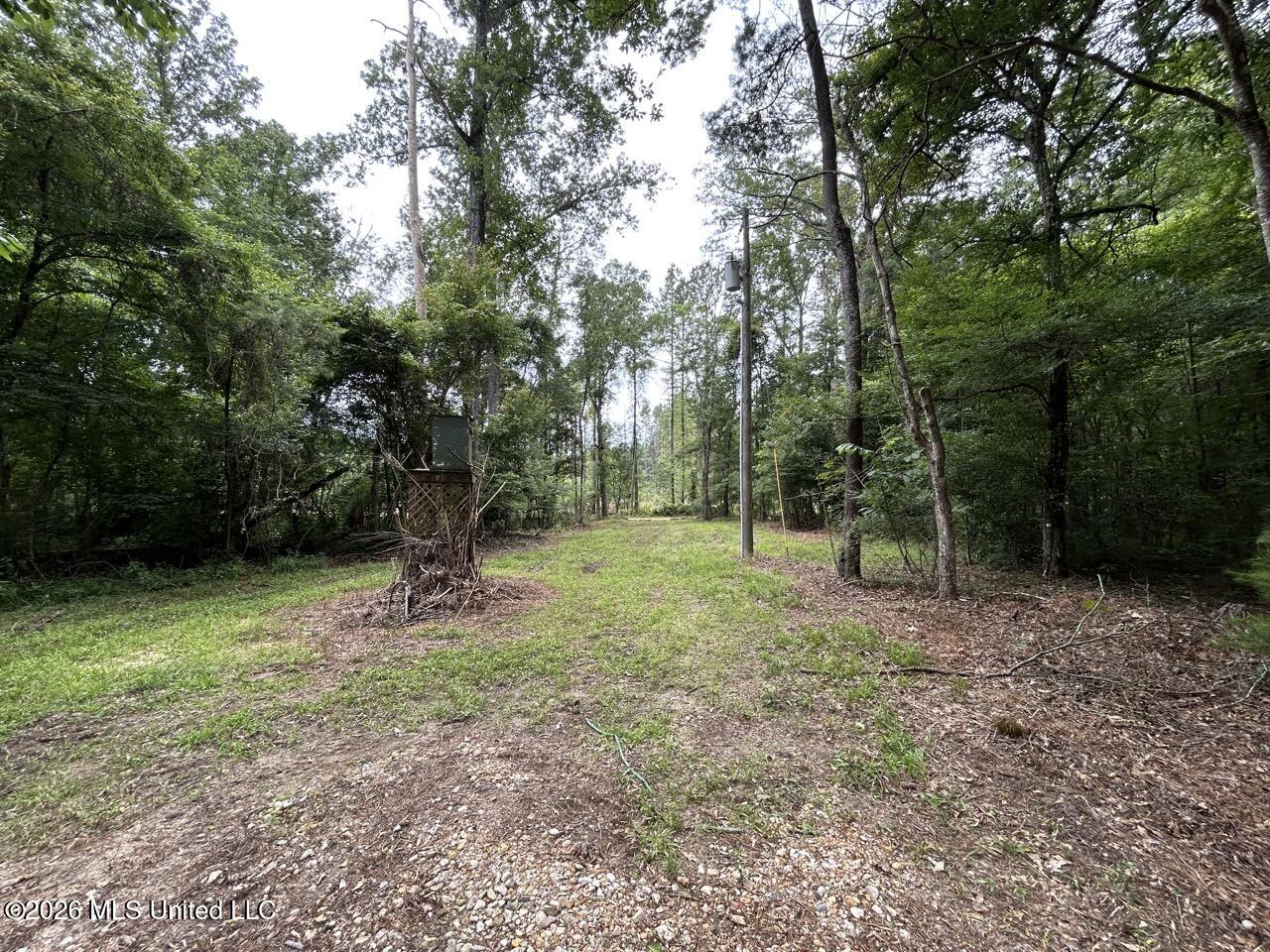 6642 Grange Hall Road Osyka, MS 39657 - Photo 6 of 50 IMG_4350 Large