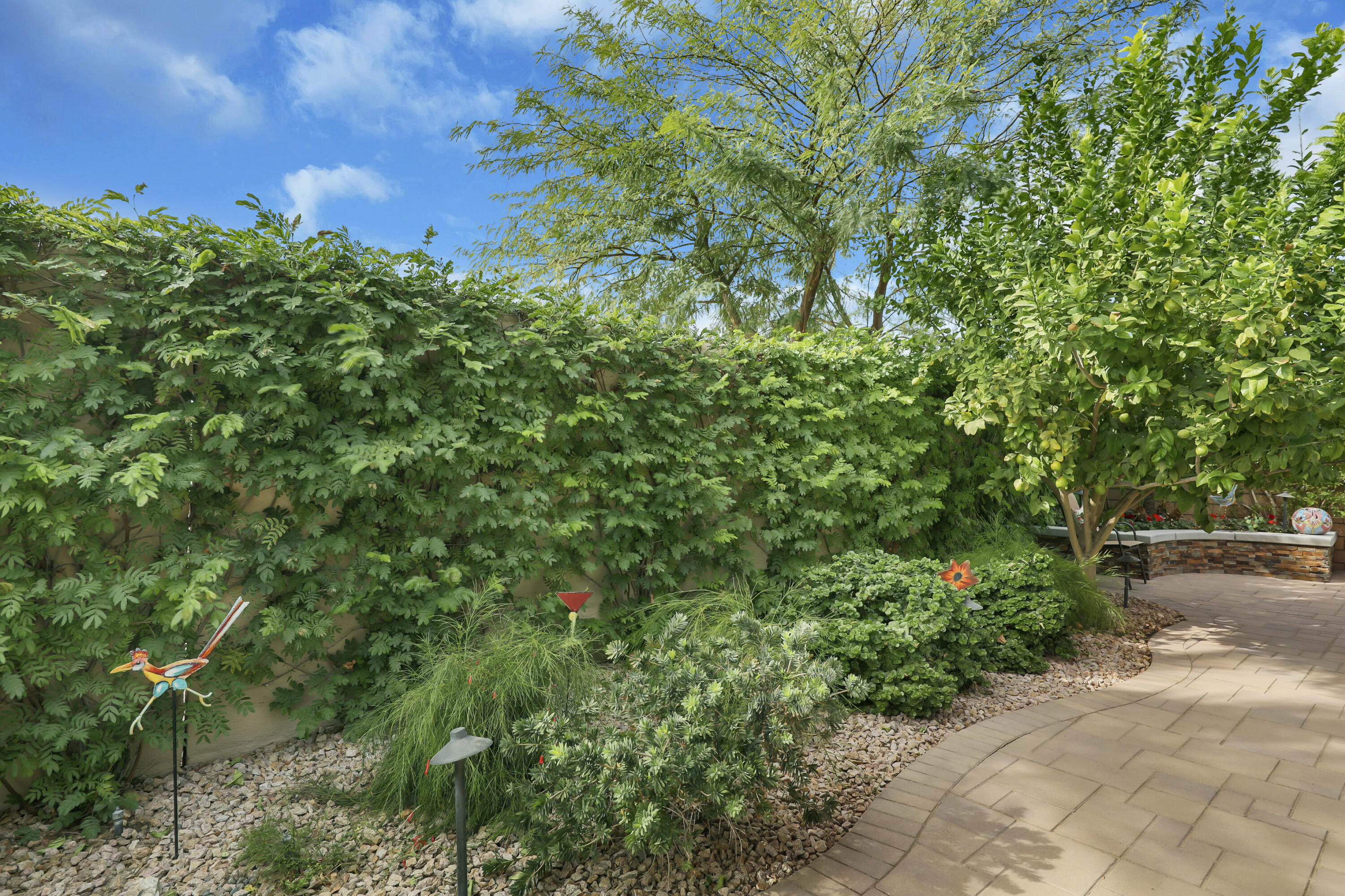 85685 Treviso Drive Indio, CA 92203 - Photo 24 of 32 a view of a garden with plants