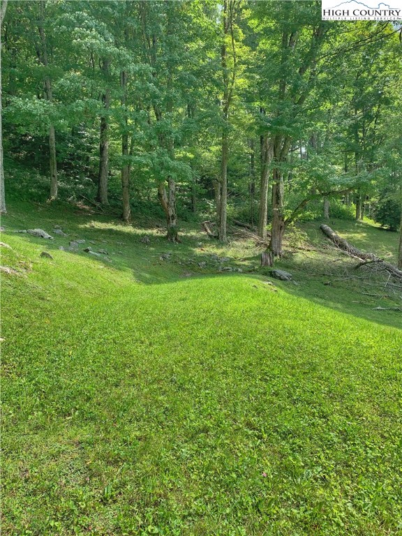 Lot 50 Supreme Golden Road Banner Elk, NC 28604 - Photo 8 of 35 Gallery Image 8