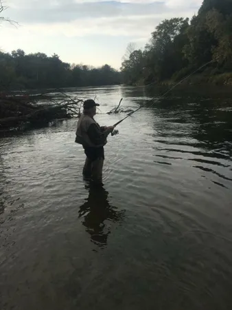 $999,900 | 1306 North Tippy Dam Road, Wellston, MI 49689