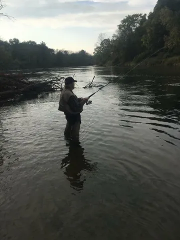 $1,100,000 | 1306 North Tippy Dam Road, Wellston, MI 49689