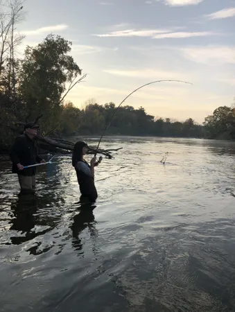 $999,900 | 1306 North Tippy Dam Road, Wellston, MI 49689