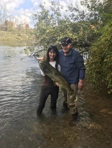 $1,100,000 | 1306 North Tippy Dam Road, Wellston, MI 49689