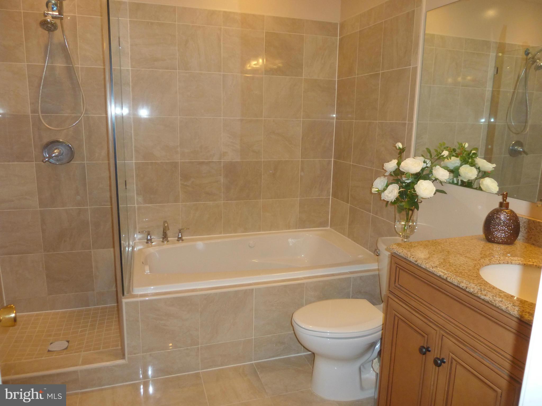 8702 Postoak Road Potomac, MD 20854 - Photo 16 of 27 Bath (Master)