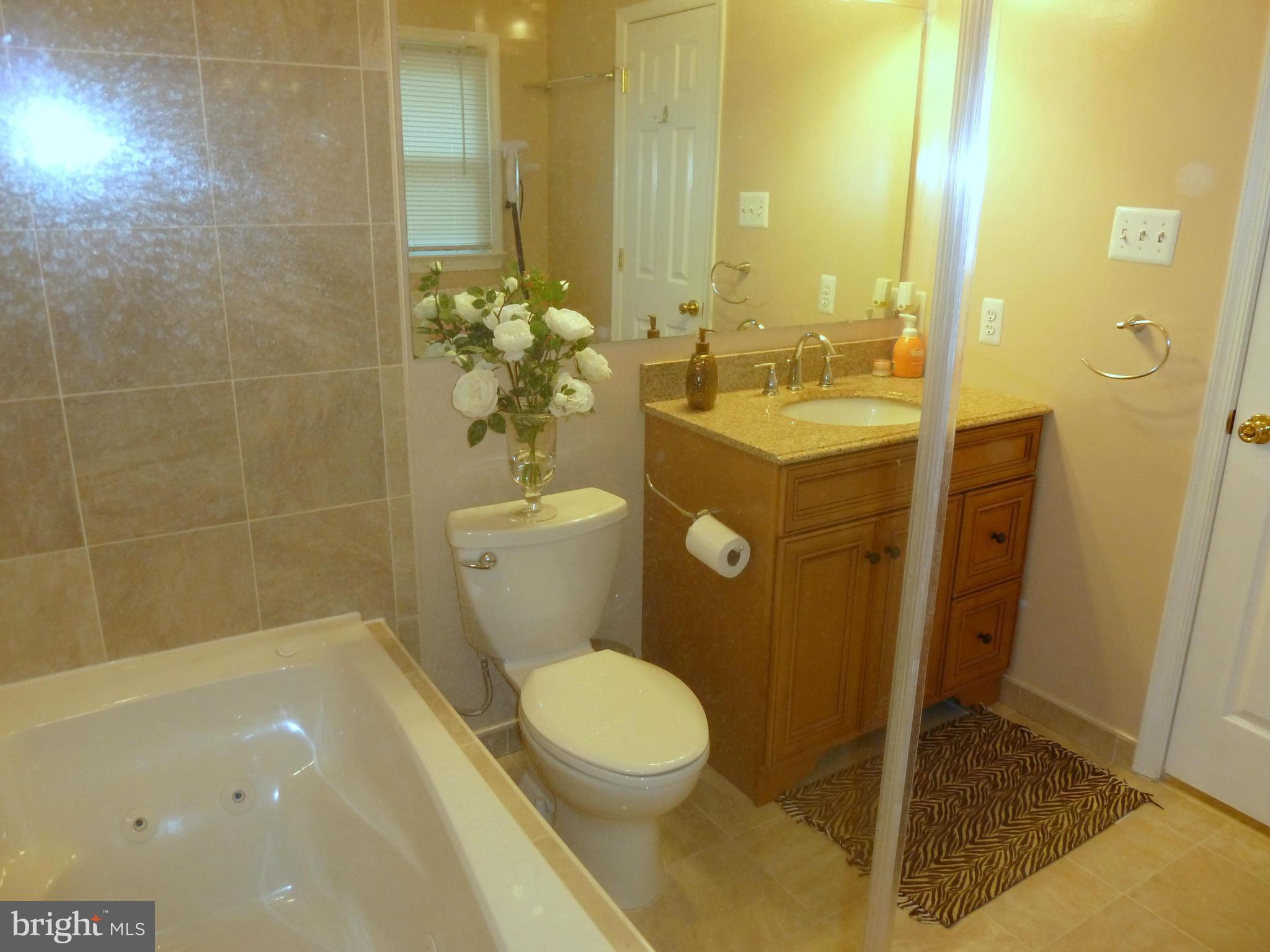 8702 Postoak Road Potomac, MD 20854 - Photo 17 of 27 Bath (Master)