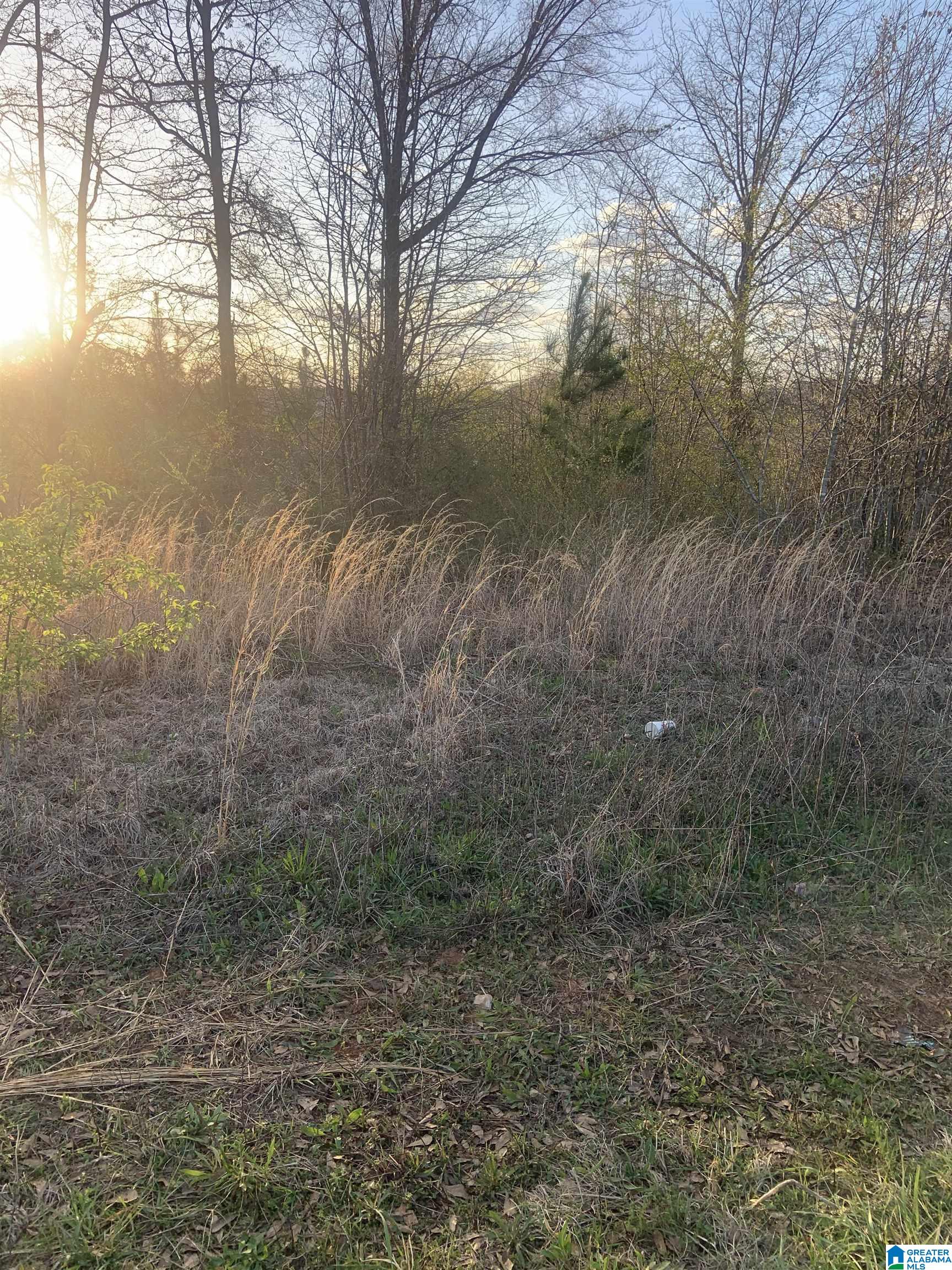 0 Providence Road, Unit 71 ACRES Talladega, AL 35160 - Photo 5 of 9