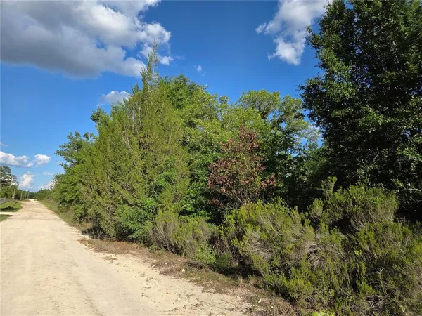 $28,000 | 9070 Northeast 76 Street, Bronson, FL 32621
