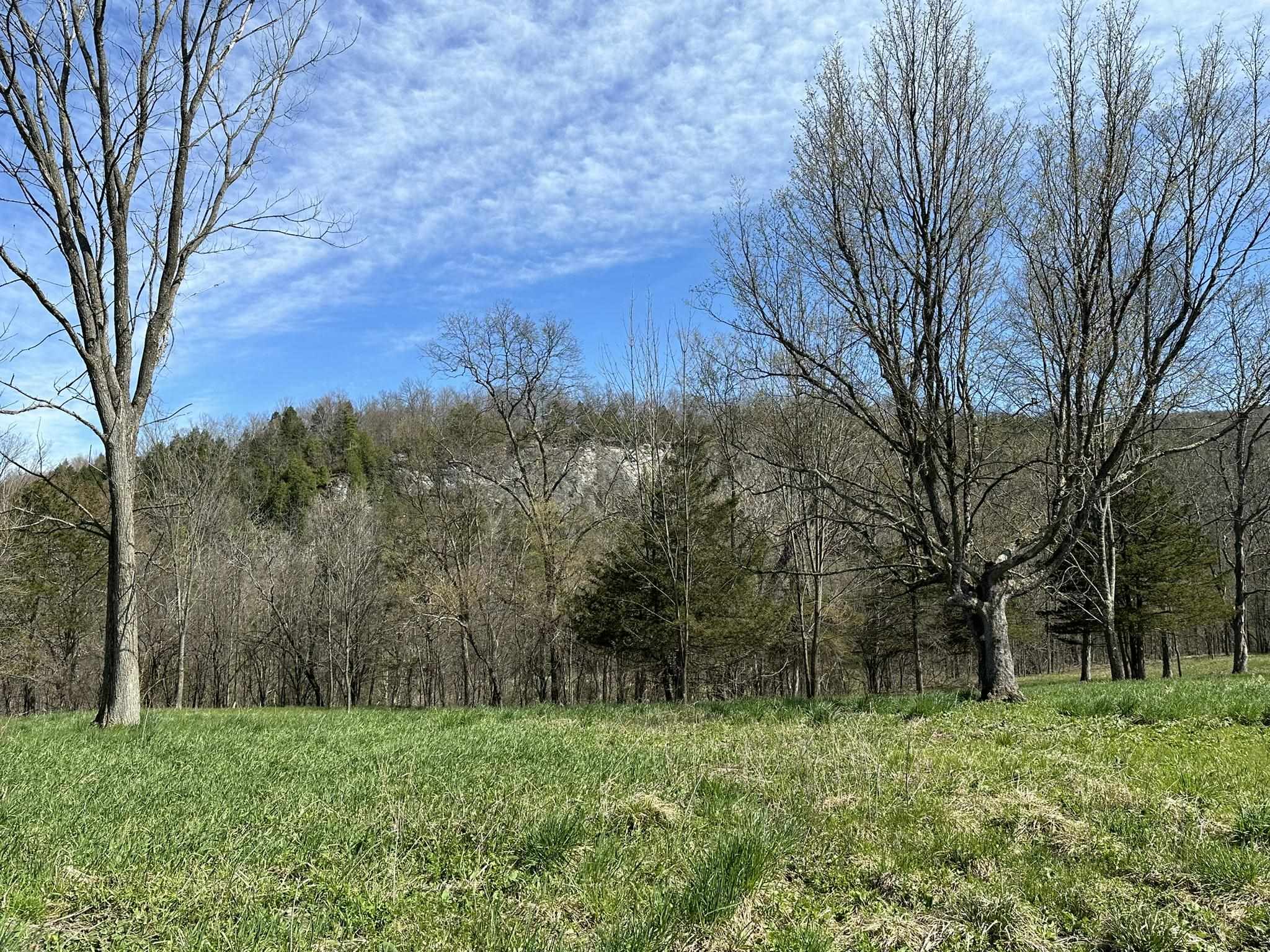 95 Singing Cedars Road Orwell, VT 05760 - Photo 6 of 30