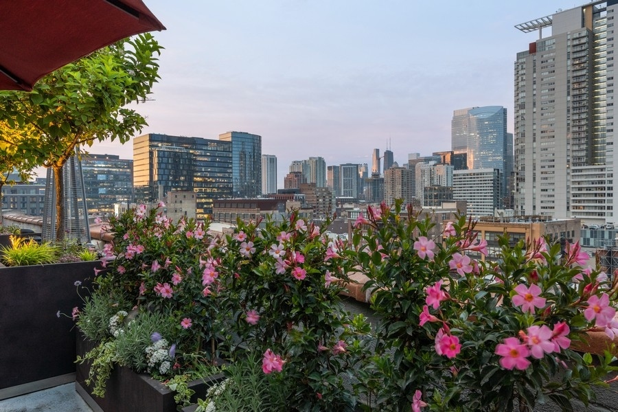 910 West Madison Street, Unit 904E Chicago, IL 60607 - Photo 41 of 64