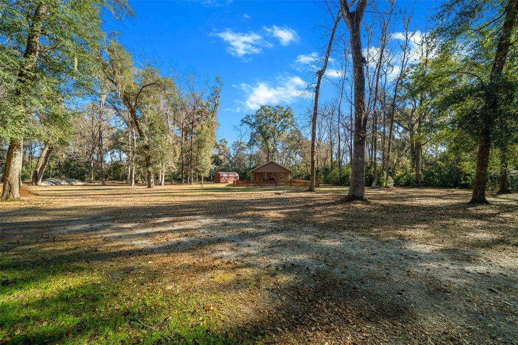 3551 East Highway 329 Anthony, FL 32617 - Photo 46 of 86
