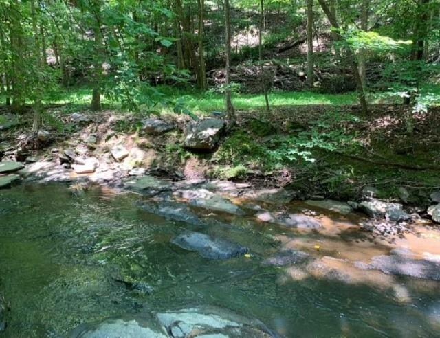 11041 Parsons Road Johns Creek, GA 30097 - Photo 6 of 15 a view of a park with a tree