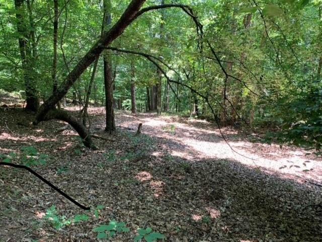 11041 Parsons Road Johns Creek, GA 30097 - Photo 7 of 15 a backyard of a house with lots of green space