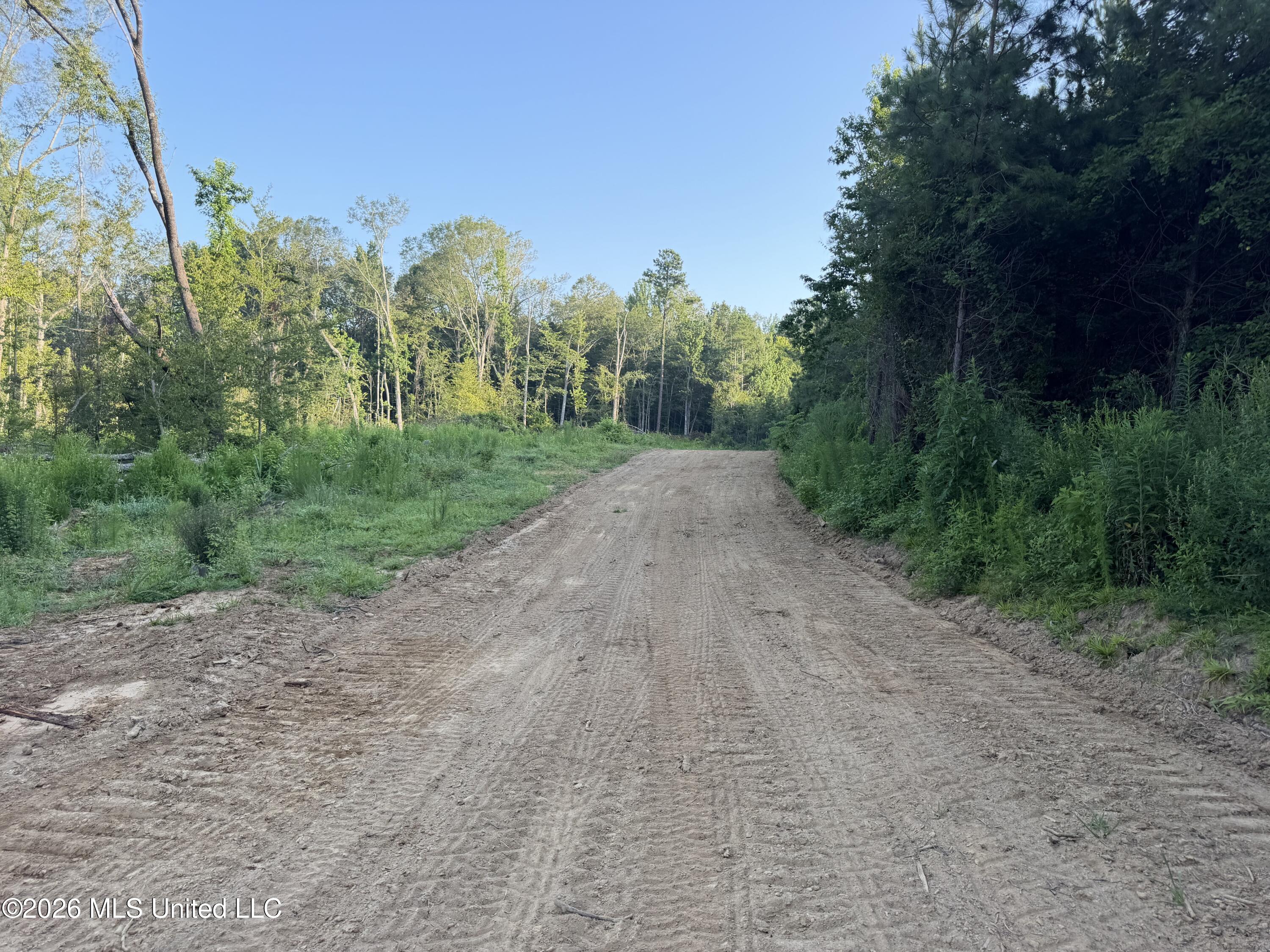 Carroll Rd Port Port Gibson, MS 39150 - Photo 1 of 24 Photo Jul 01 2026, 7 29 57 AM