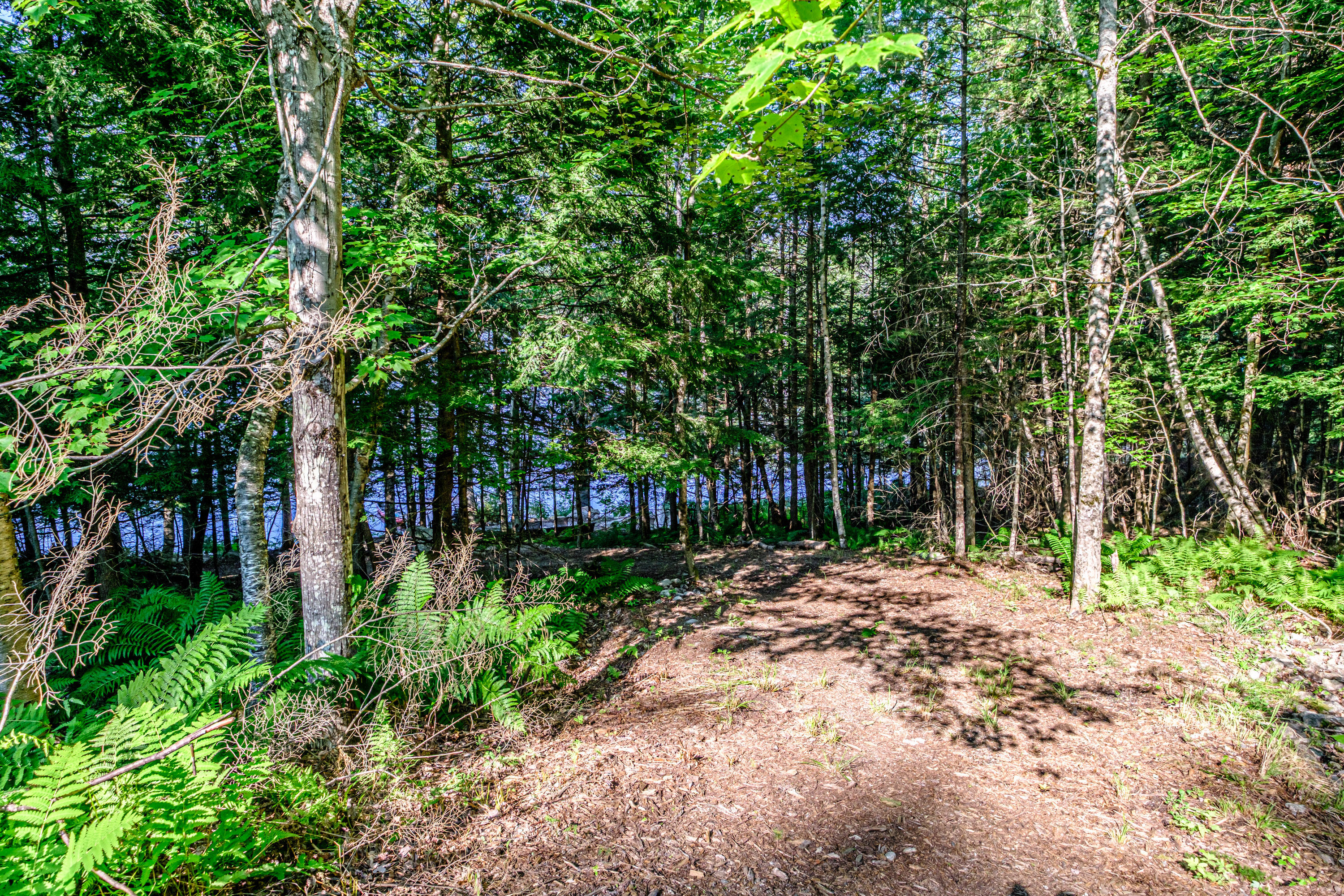 100 Evergreen Road Bridgton, ME 04009 - Photo 103 of 115 20260629gp-63104