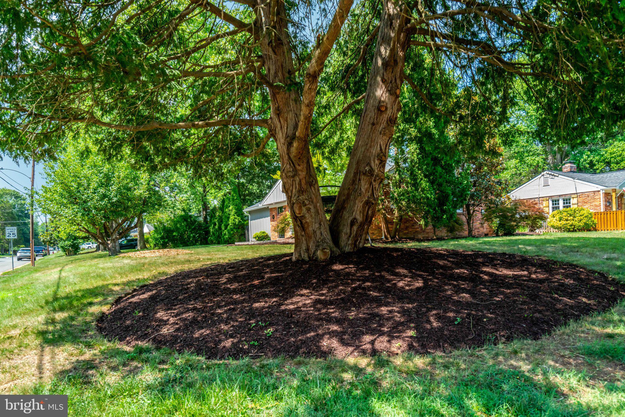 8015 New Market Road Alexandria, VA 22308 - Photo 5 of 41 Front yard