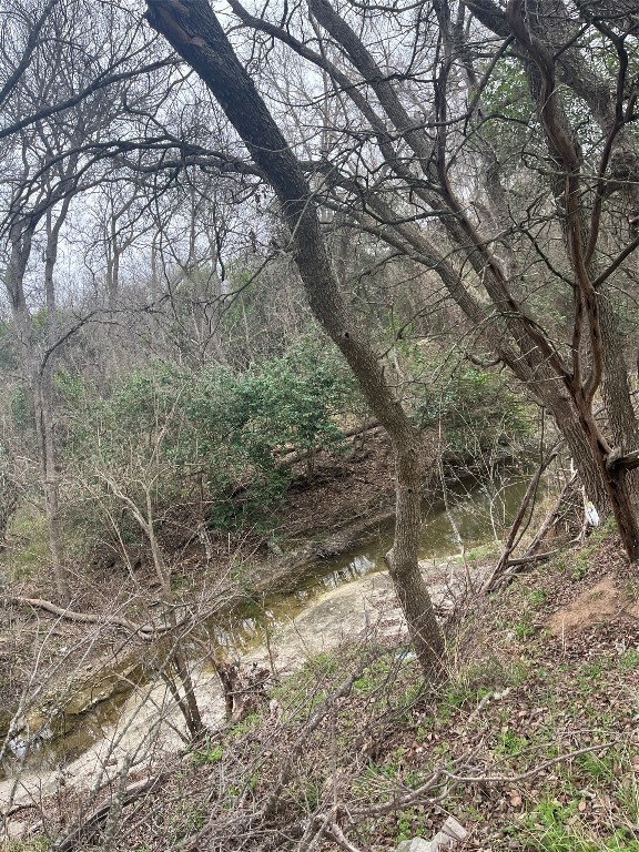 8303 Bluff Springs Road Austin, TX 78744 - Photo 8 of 16 a view of forest