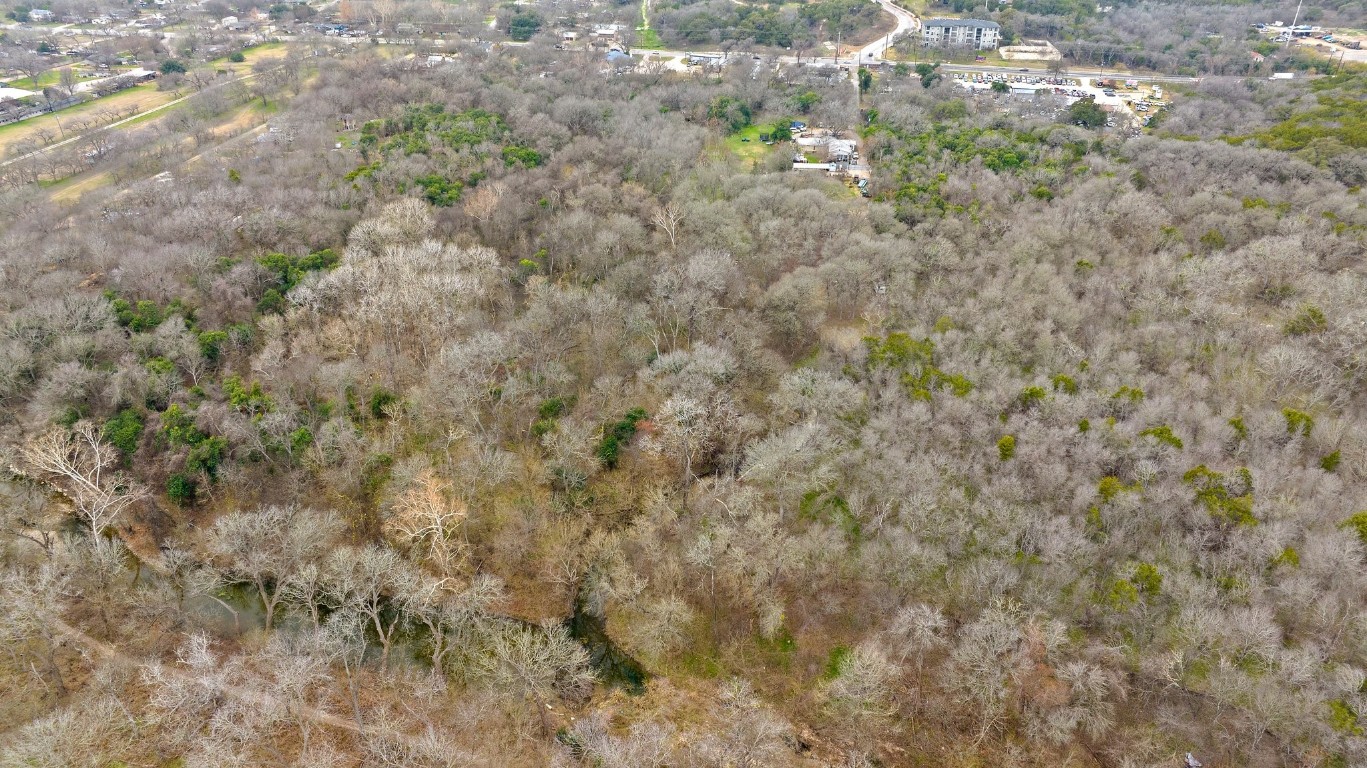 8303 Bluff Springs Road Austin, TX 78744 - Photo 10 of 16 a close up of a plant