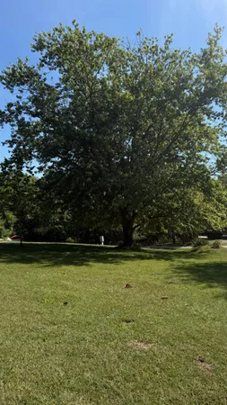 $46,200 | 11113 Palm Drive, Brookville, IN 47012