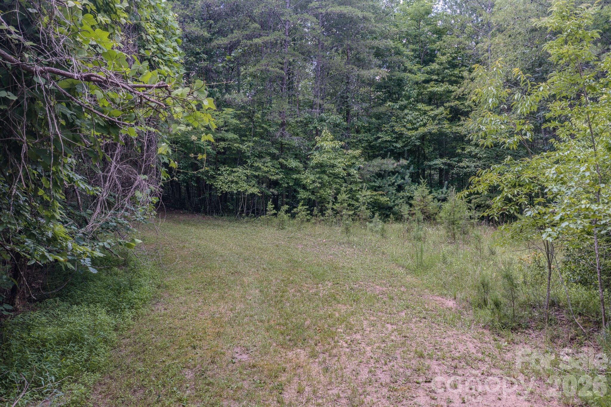35 Coweeta Ridge Otto, NC 28763 - Photo 40 of 48