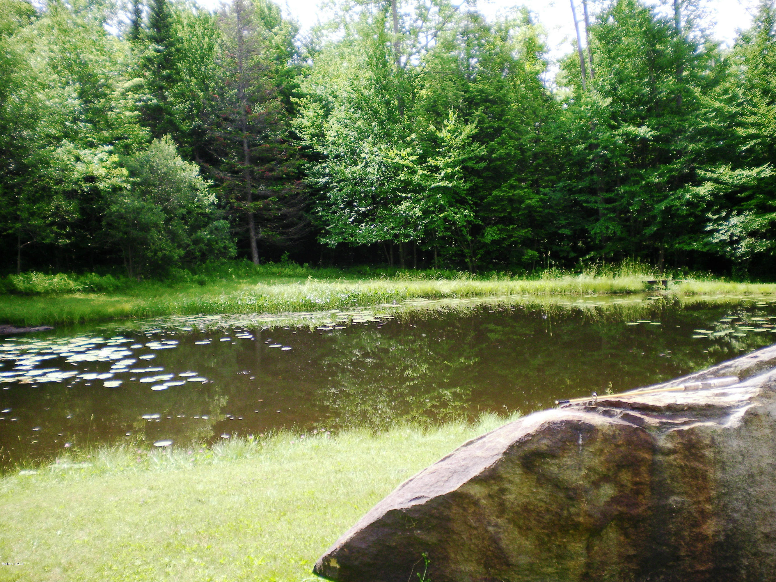 12 Andes Road Peru, MA 01235 - Photo 8 of 32 a view of a lake from a yard