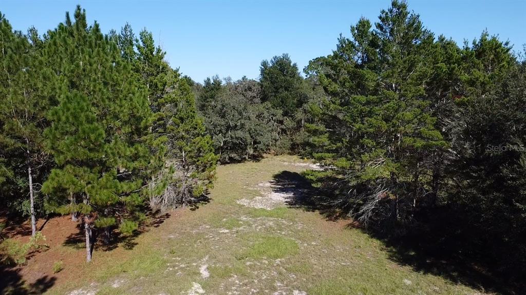 Southwest 70th Terrace Bushnell, FL 33513 - Photo 11 of 17