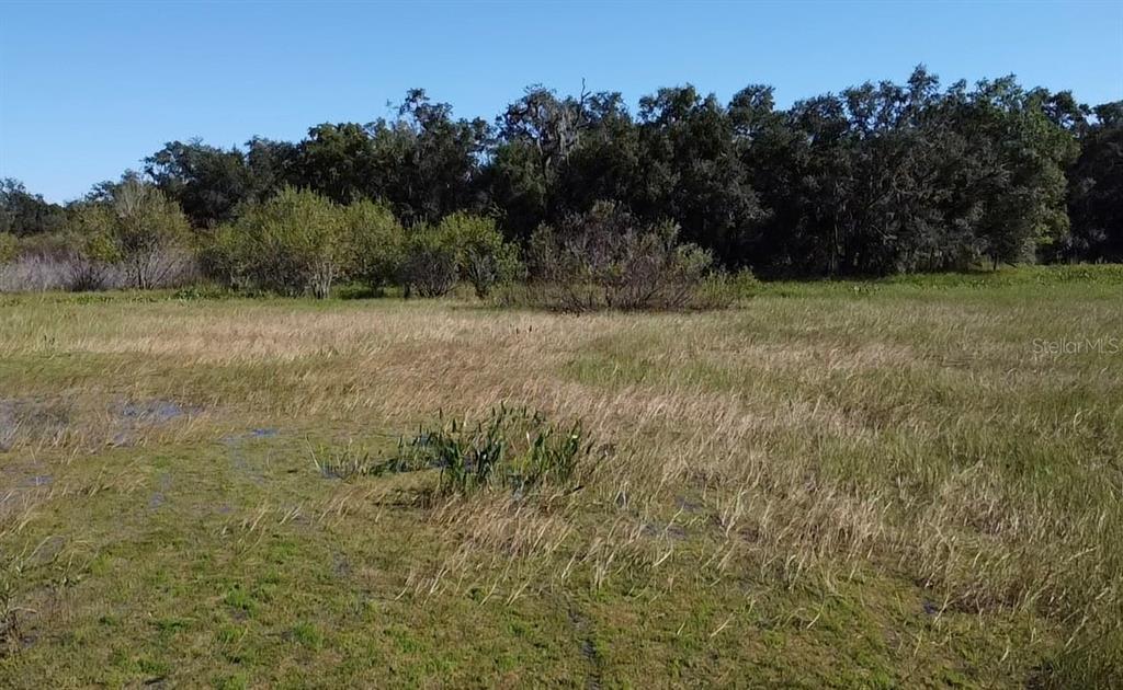 Southwest 70th Terrace Bushnell, FL 33513 - Photo 12 of 17