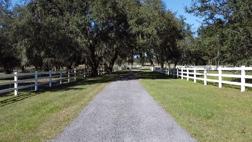 Southwest 70th Terrace Bushnell, FL 33513 - Photo 5 of 17