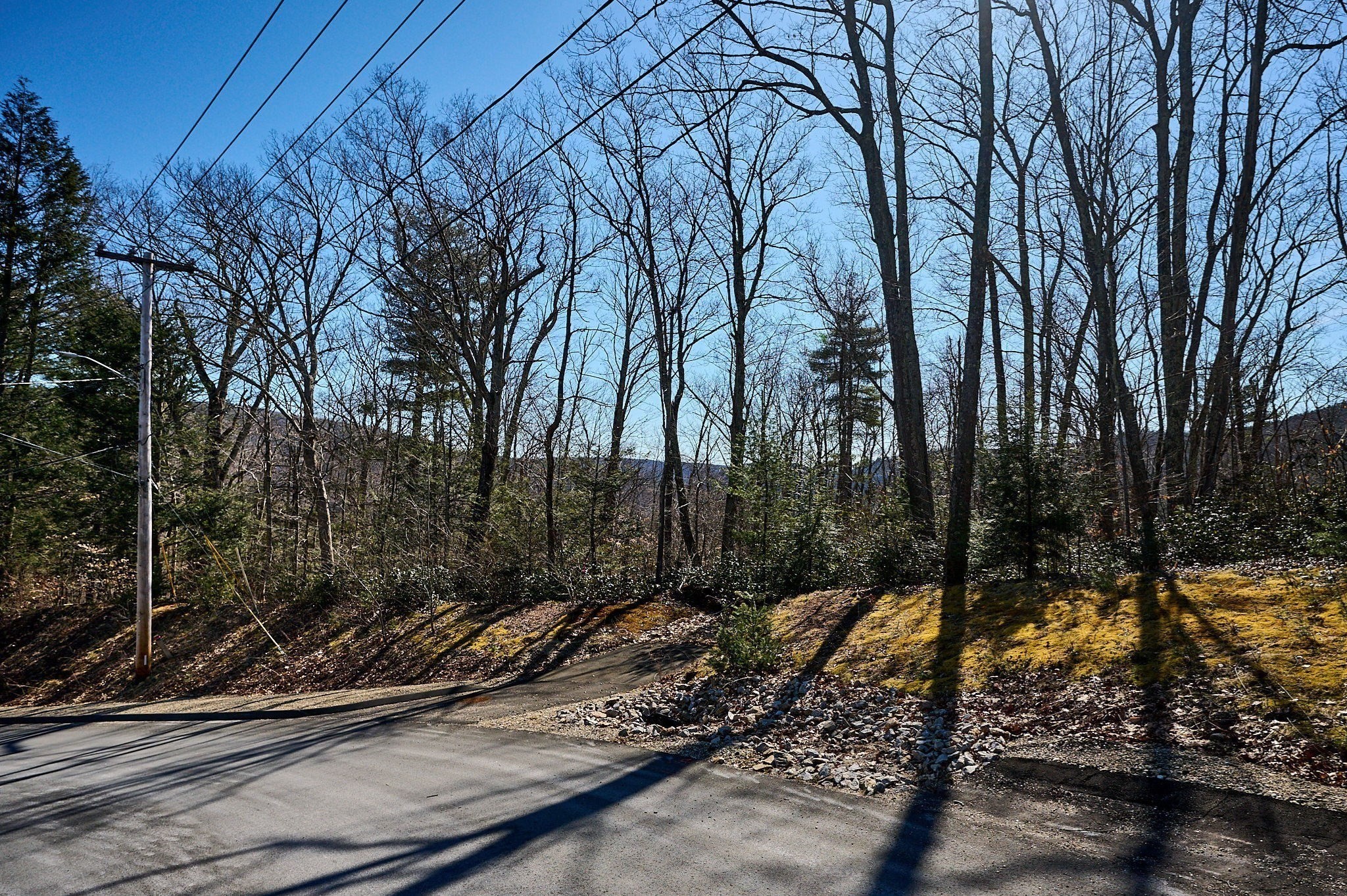 0 Pine Hill Road Russell, MA 01071 - Photo 3 of 15 Gallery Image 3
