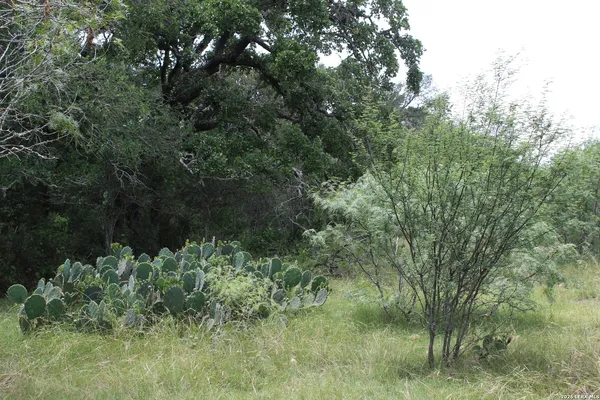 $299,999 | Tbd Fm 3353, Seguin, TX 78155