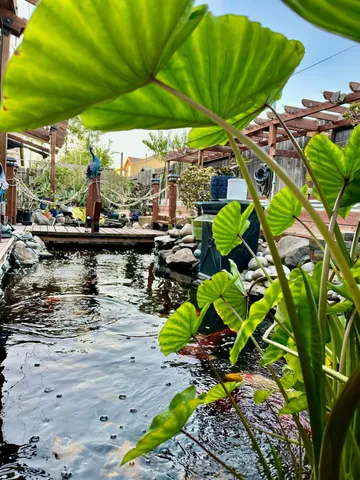 a view of a white house with a yard