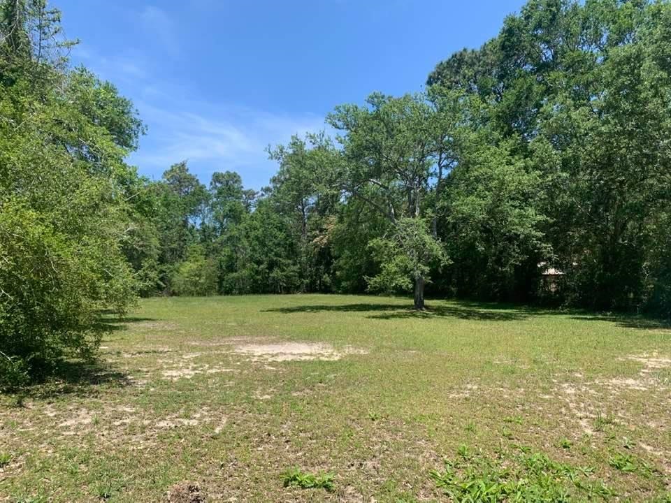 9440 Soldier Creek Road Lillian, AL 36549 - Photo 5 of 6