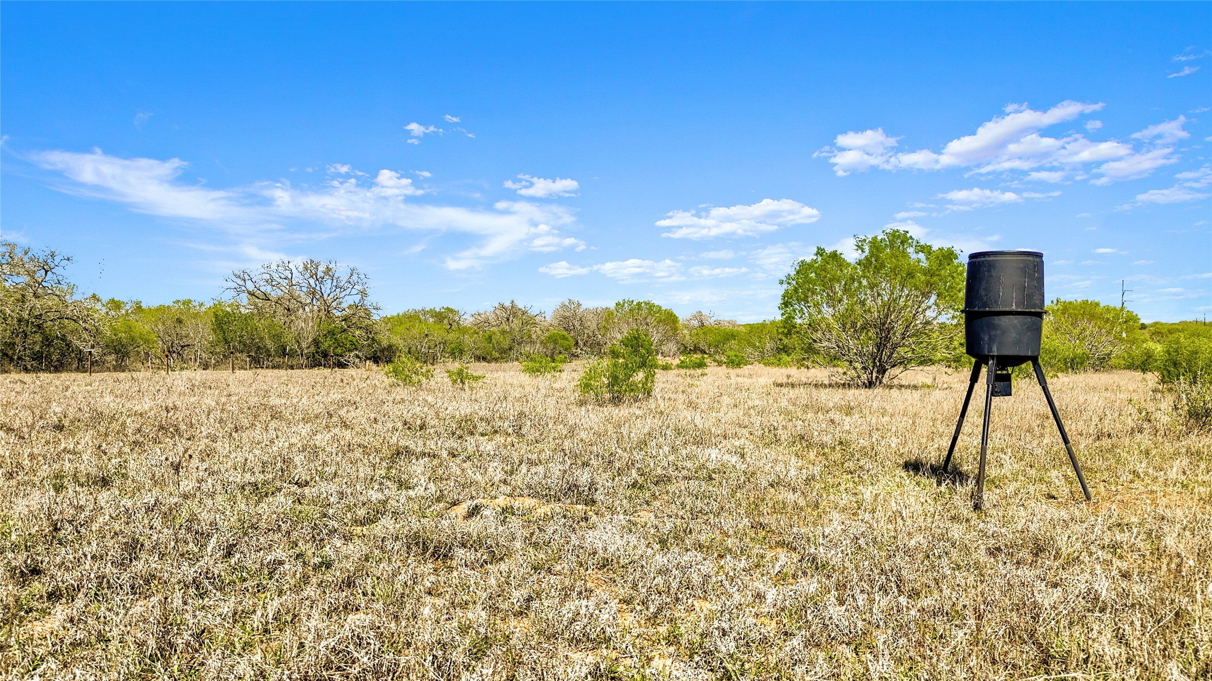 0 Fox Trotter Road Seguin, TX 78155 - Photo 1 of 12